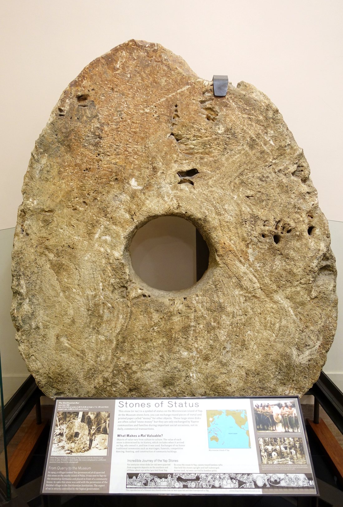 A single large limestone disc with a hole through the middle, displayed in a museum.