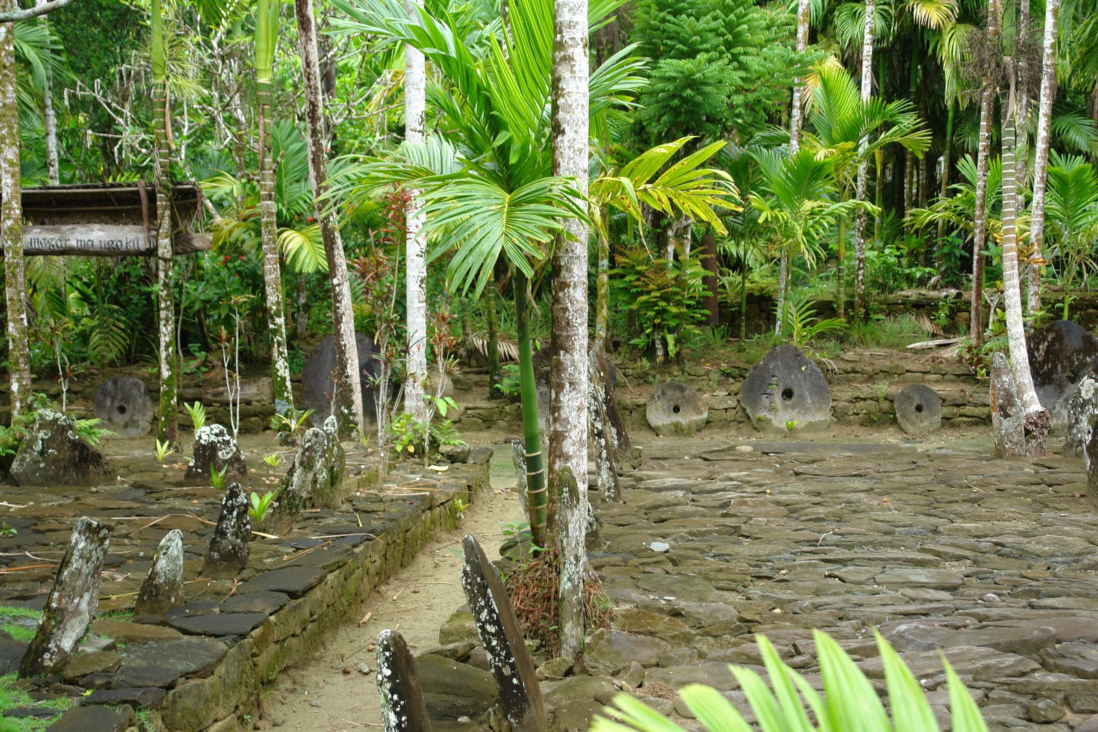 Large stone discs with holes through their centres, leaning in a row along a stone path in dense palm forest.