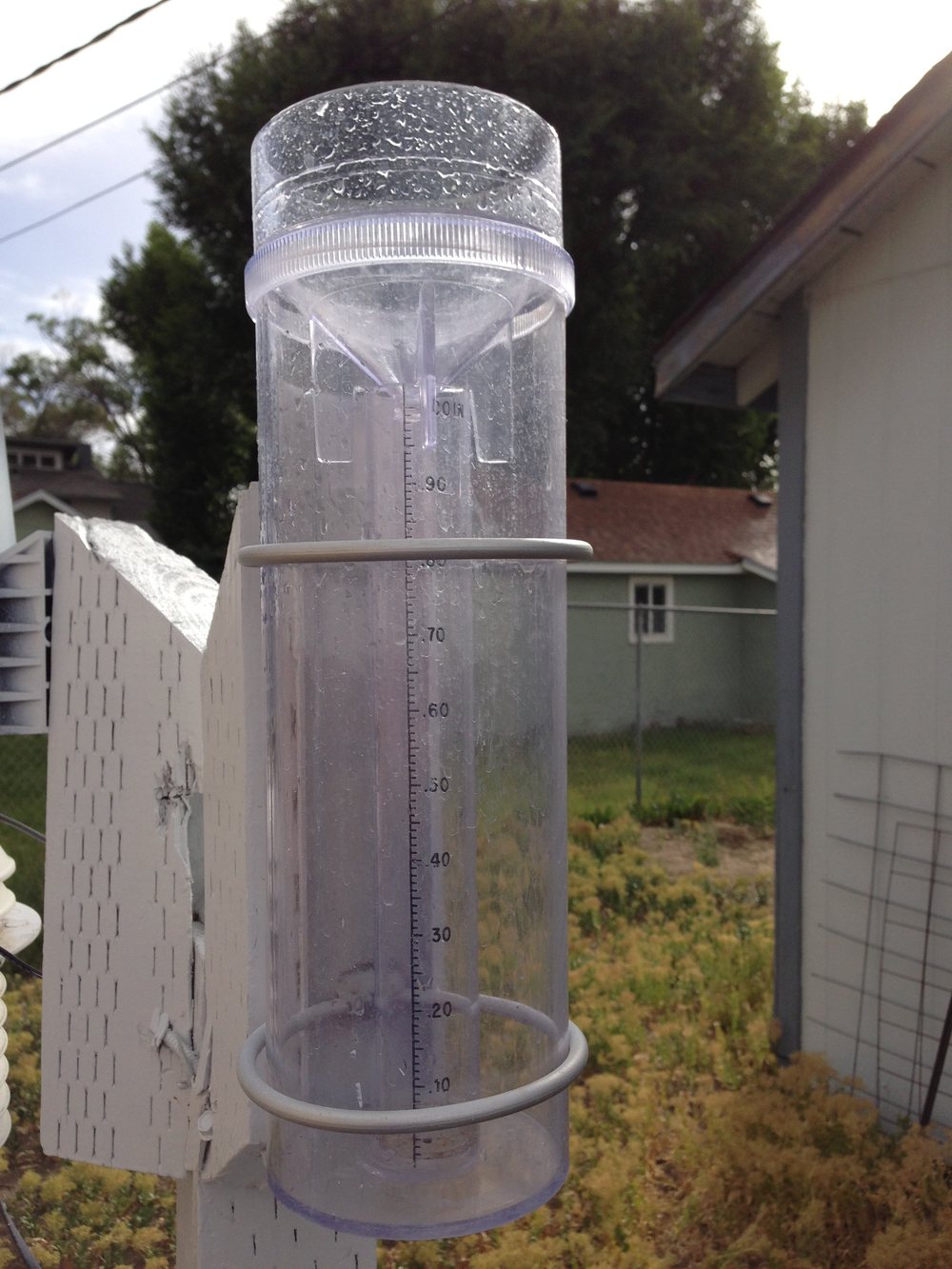 A clear plastic rain gauge on a post, with a scale in inches and millimetres