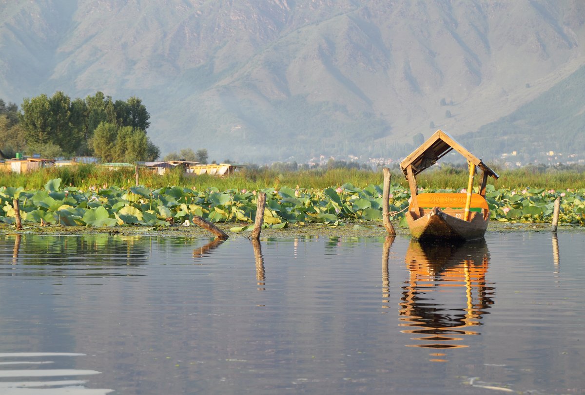 An empty wooden shikara boat floating on the still water of Dal Lake, Srinagar, with soft mountains behind.