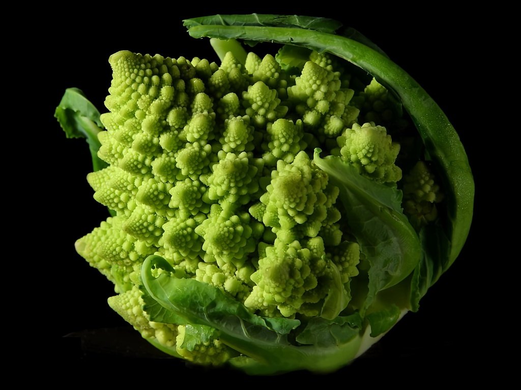 A Romanesco broccoli, where every small tower is a copy of the whole vegetable