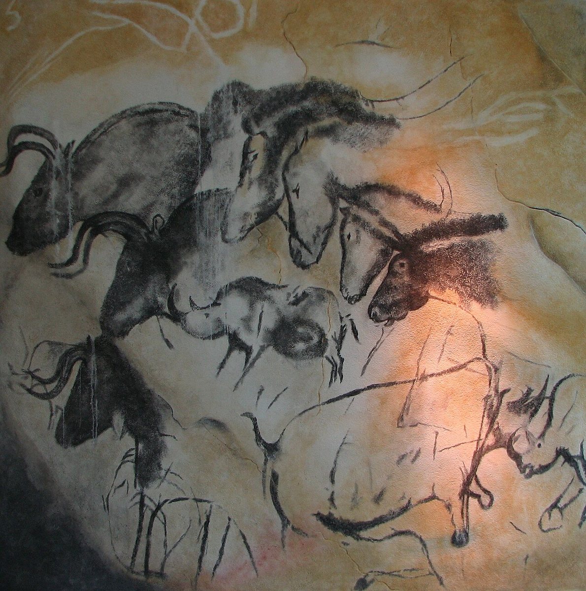 Charcoal drawings of aurochs, horses and rhinoceros from the Chauvet cave, photographed in the museum replica.