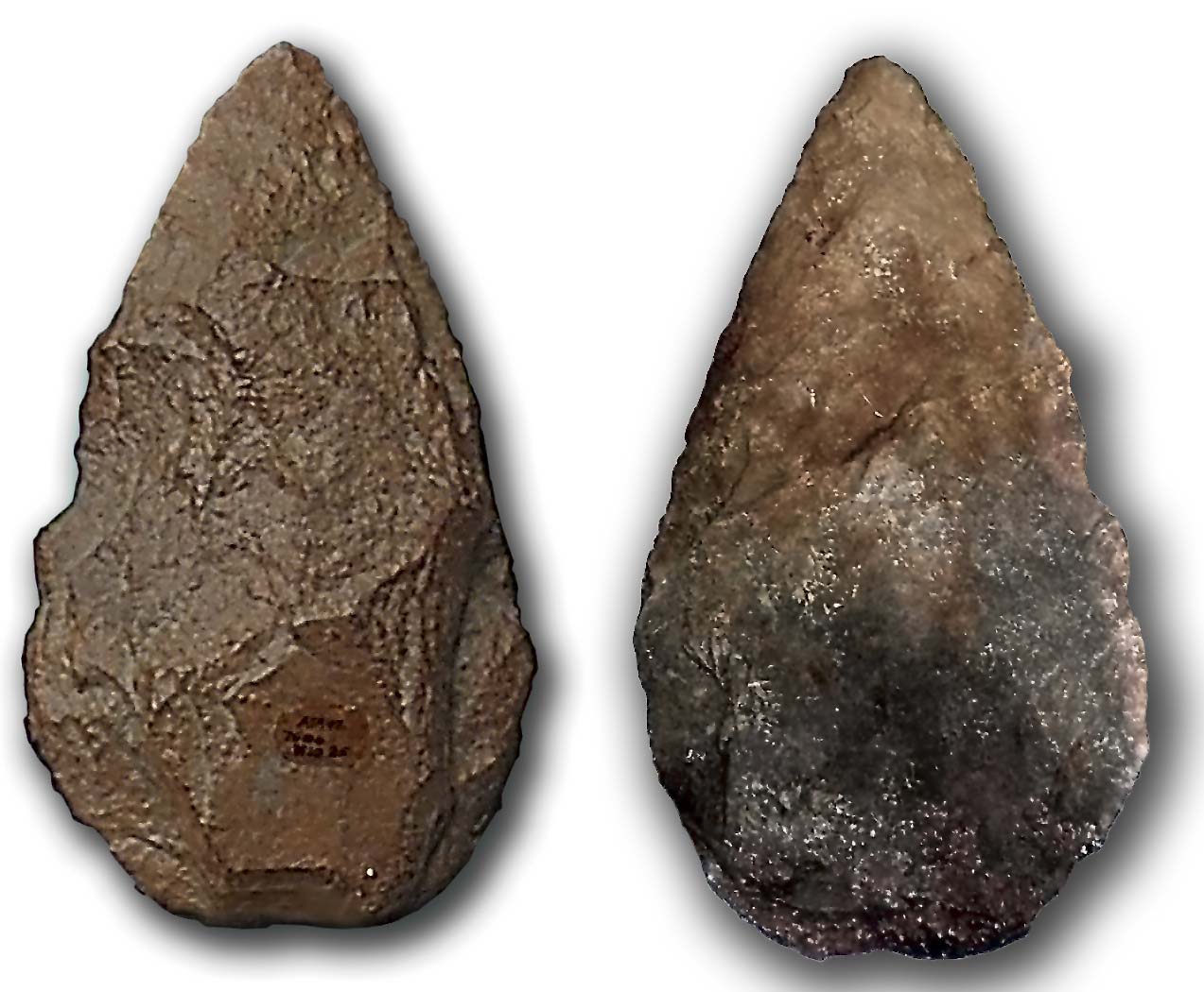 Two views of an Acheulean stone handaxe, worked to a symmetrical teardrop shape.