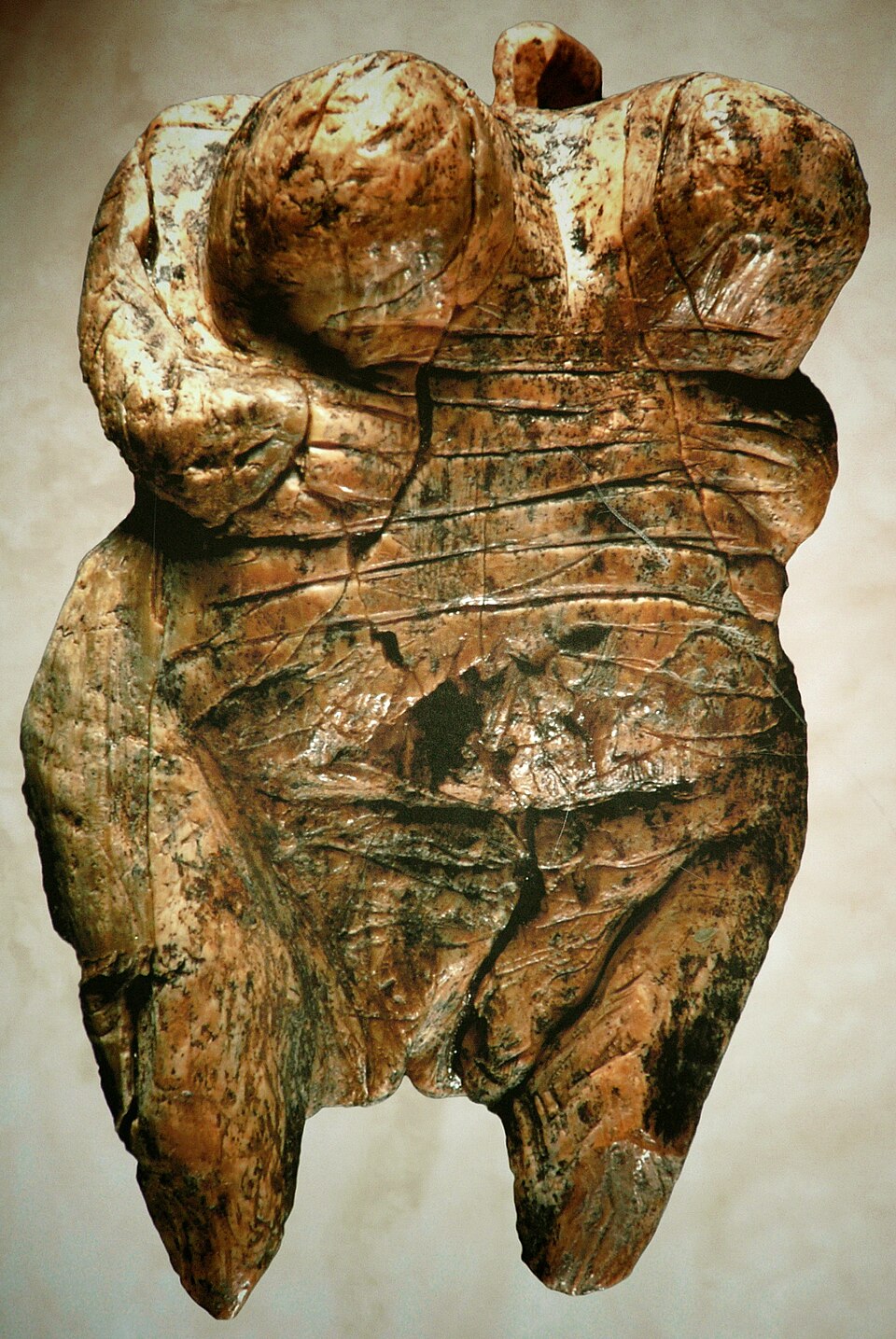 The Venus of Hohle Fels, a small carved mammoth-ivory figure of a woman, at least 35,000 years old.