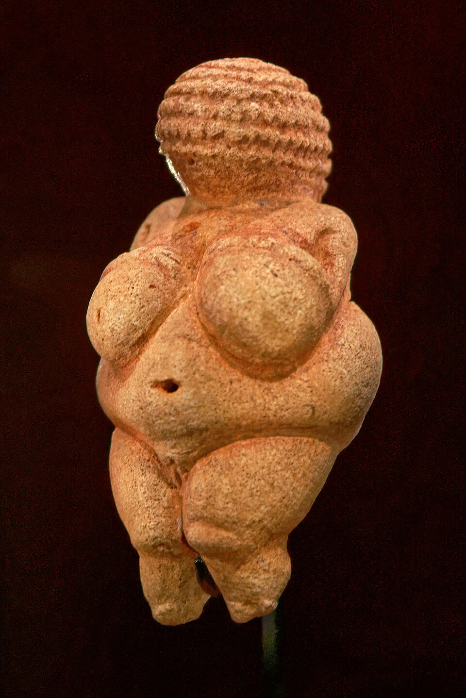 The Venus of Willendorf, a small limestone figure of a woman with a patterned headdress.