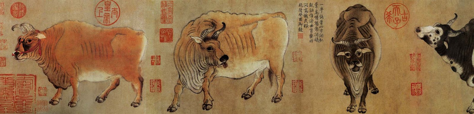 Three oxen from Han Huang's Tang-dynasty handscroll Five Oxen, each studied individually